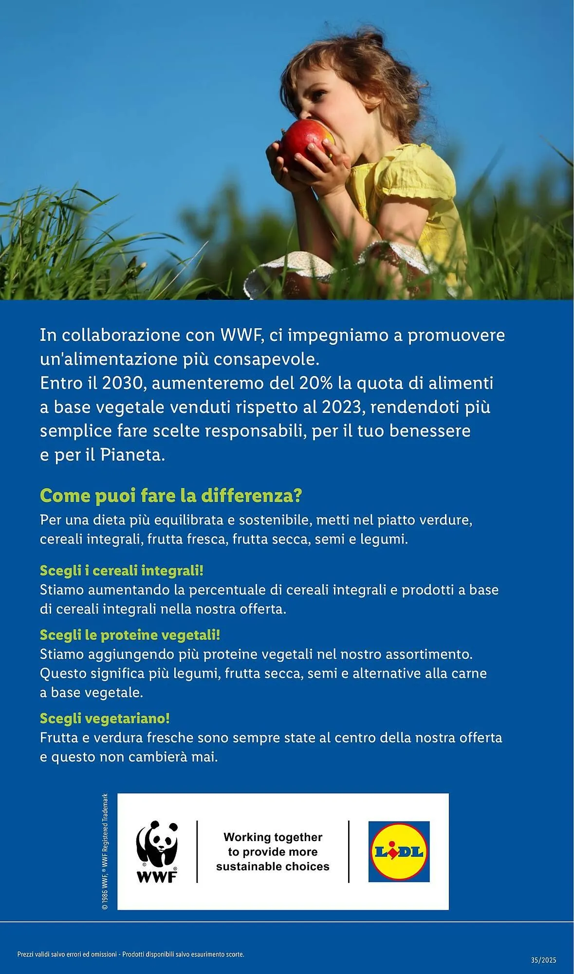 Volantino Lidl da 25 agosto a 31 agosto di 2025 - Pagina del volantino 29