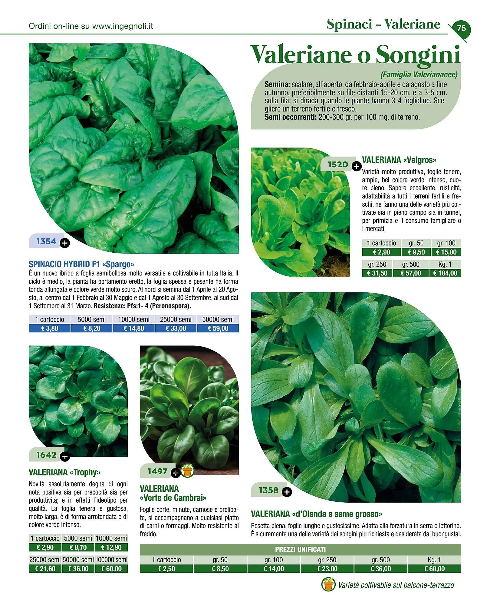 Volantino Ingegnoli da 4 novembre a 31 dicembre di 2025 - Pagina del volantino 77