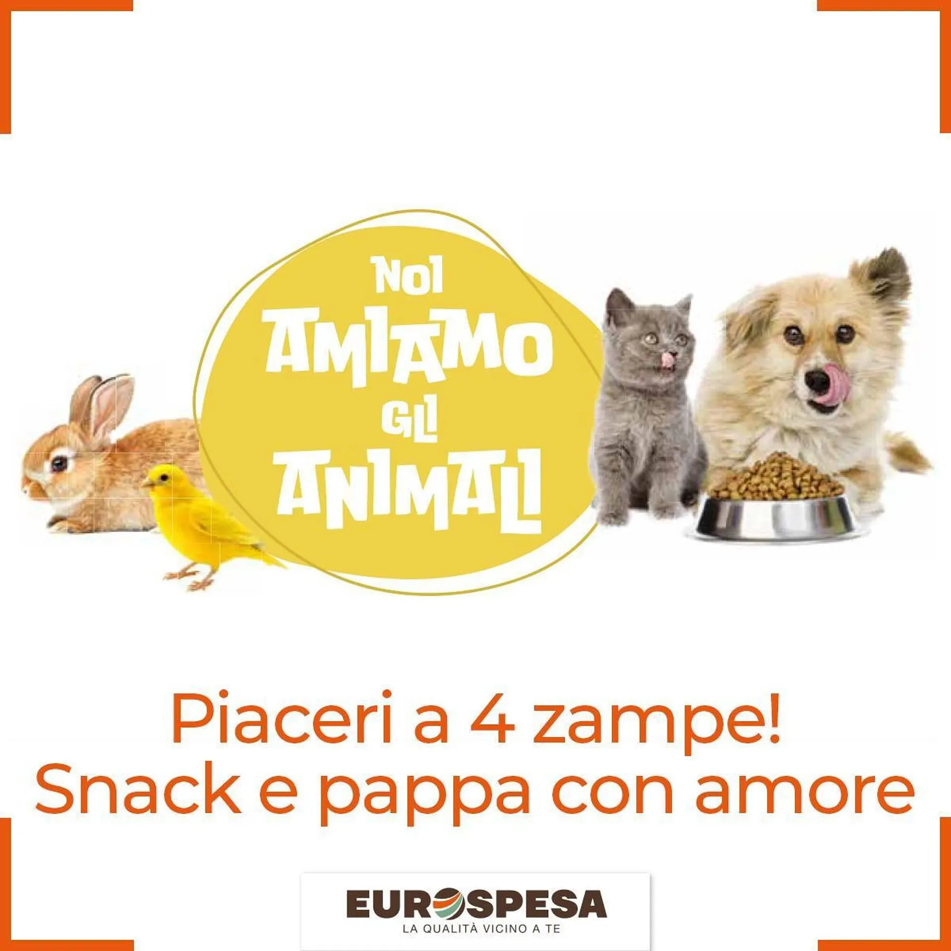 Volantino Belmarket - 1