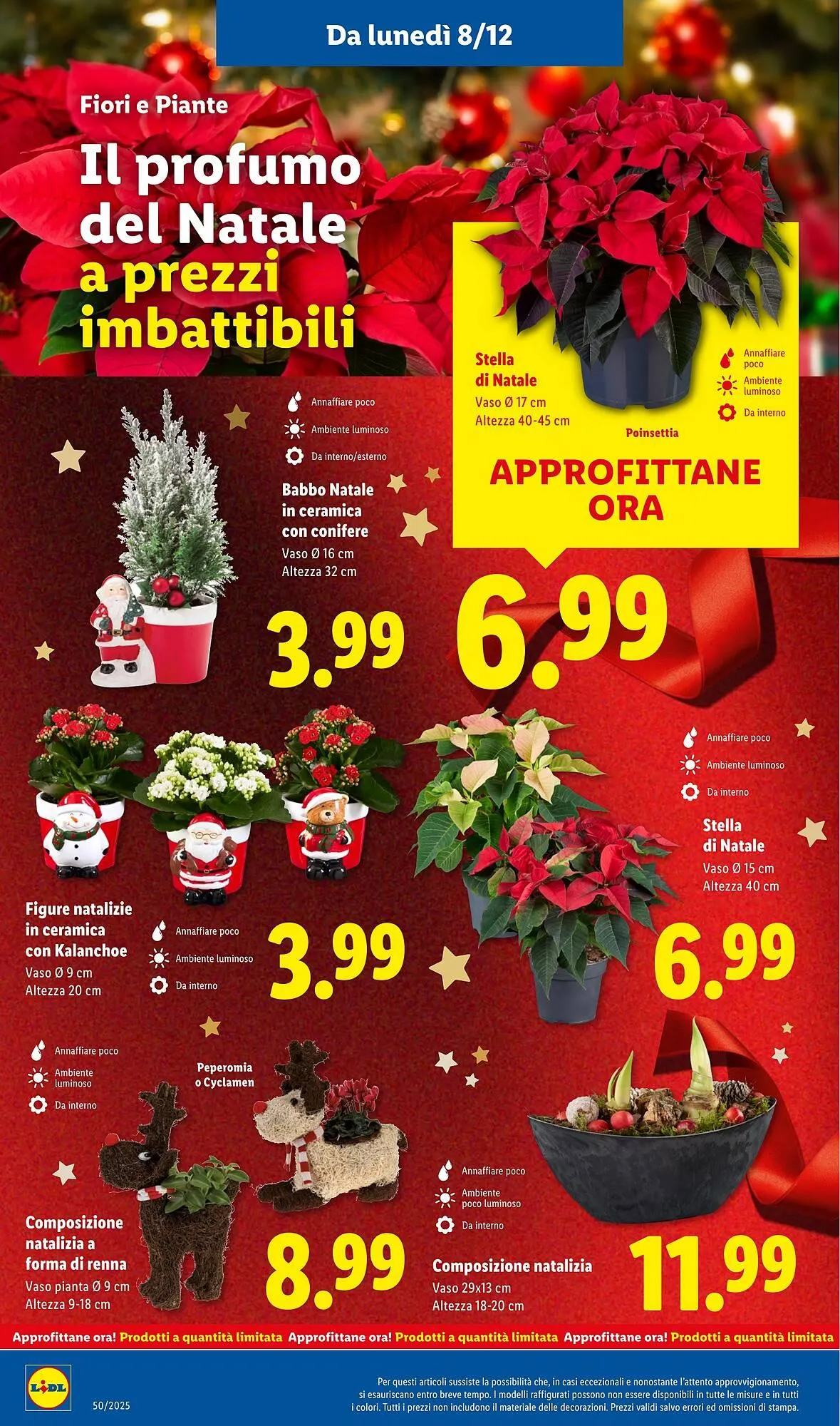 Volantino Lidl da 8 dicembre a 14 dicembre di 2025 - Pagina del volantino 32