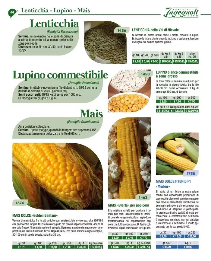 Novita 2025 da 4 novembre a 31 dicembre di 2025 - Pagina del volantino 43