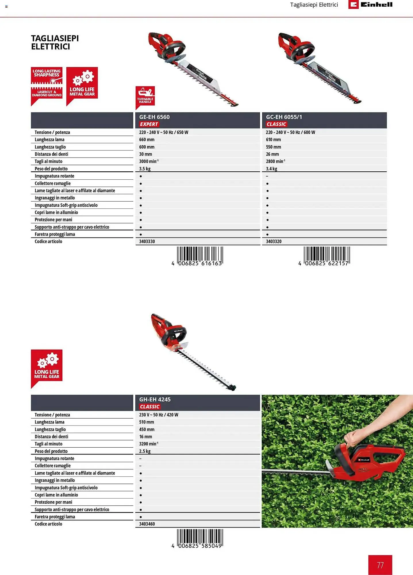 Volantino Einhell da 2 marzo a 30 settembre di 2026 - Pagina del volantino 79
