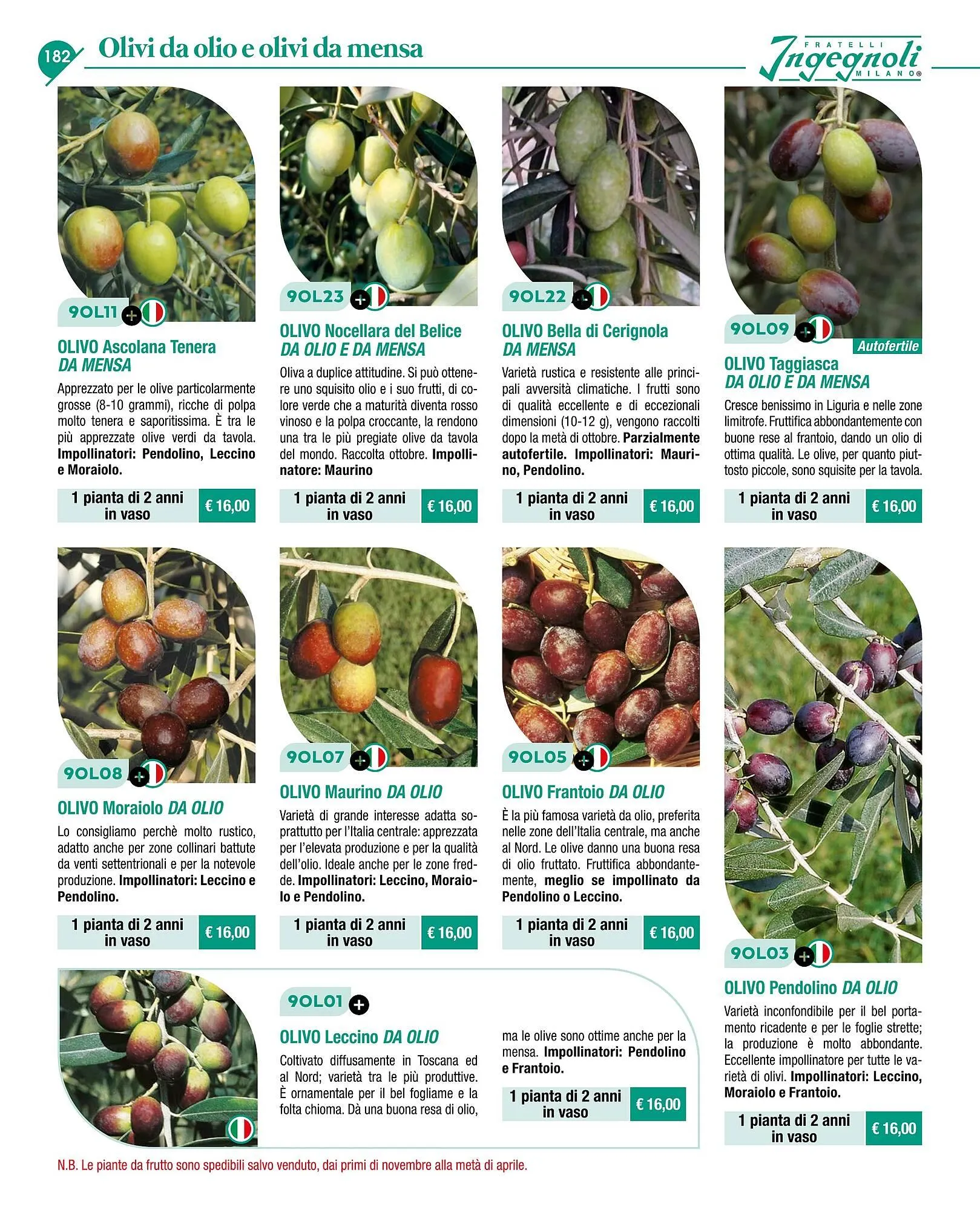 Volantino Ingegnoli da 4 novembre a 31 dicembre di 2025 - Pagina del volantino 184