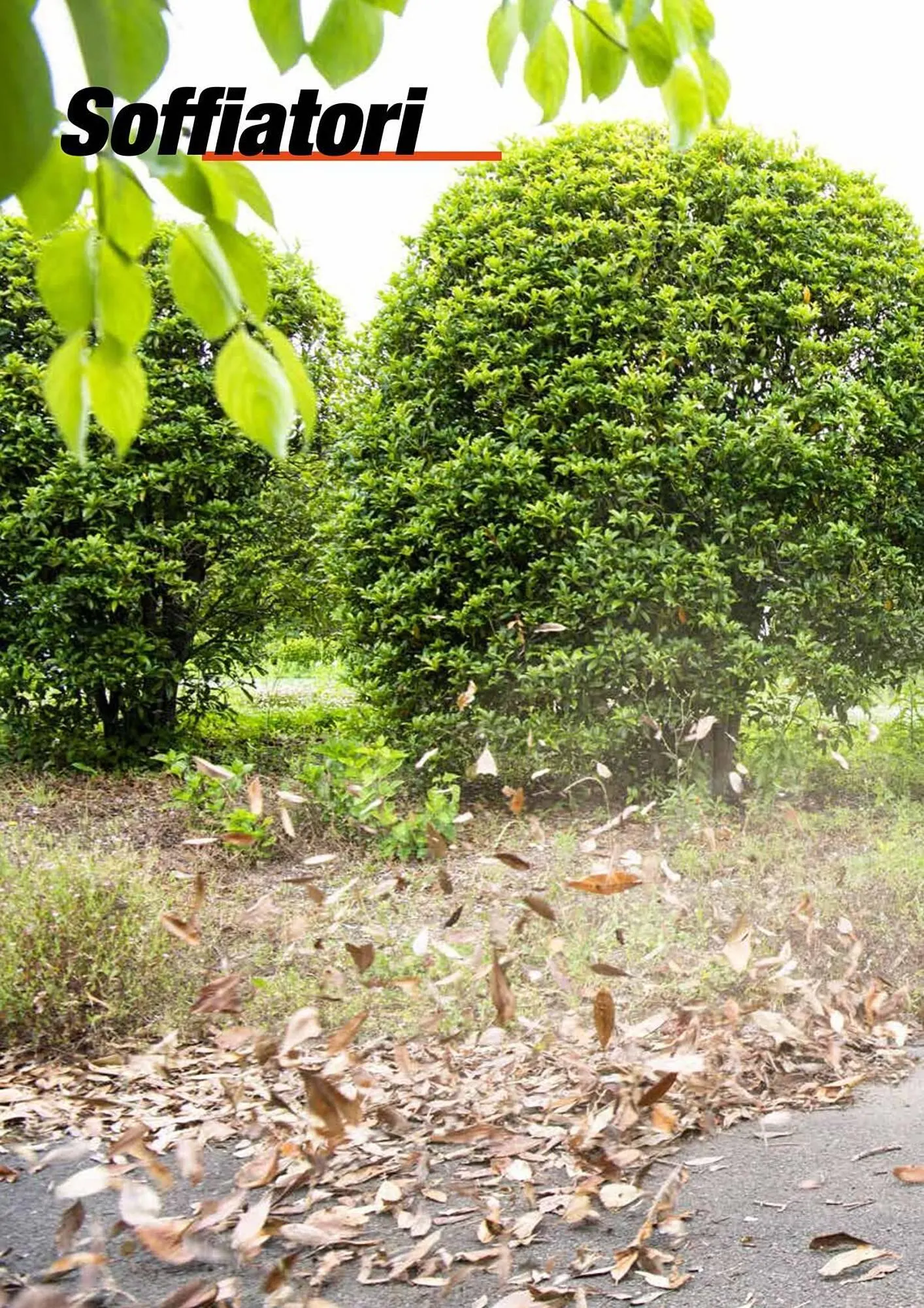 Volantino Echo da 17 febbraio a 31 dicembre di 2025 - Pagina del volantino 84