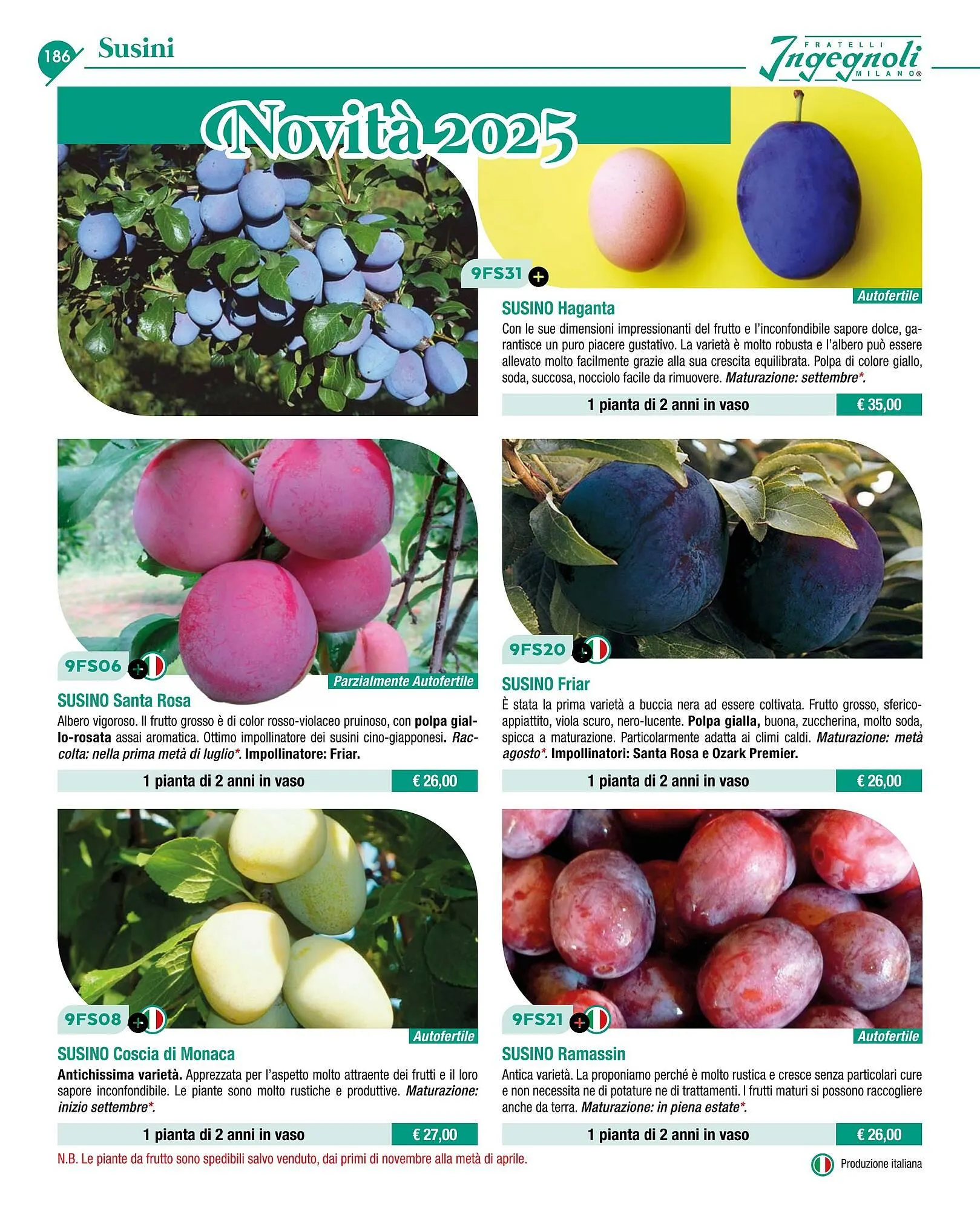 Volantino Ingegnoli da 4 novembre a 31 dicembre di 2025 - Pagina del volantino 188