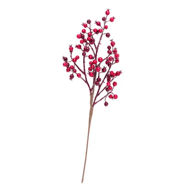 BERRY Ramo da bacca rosso