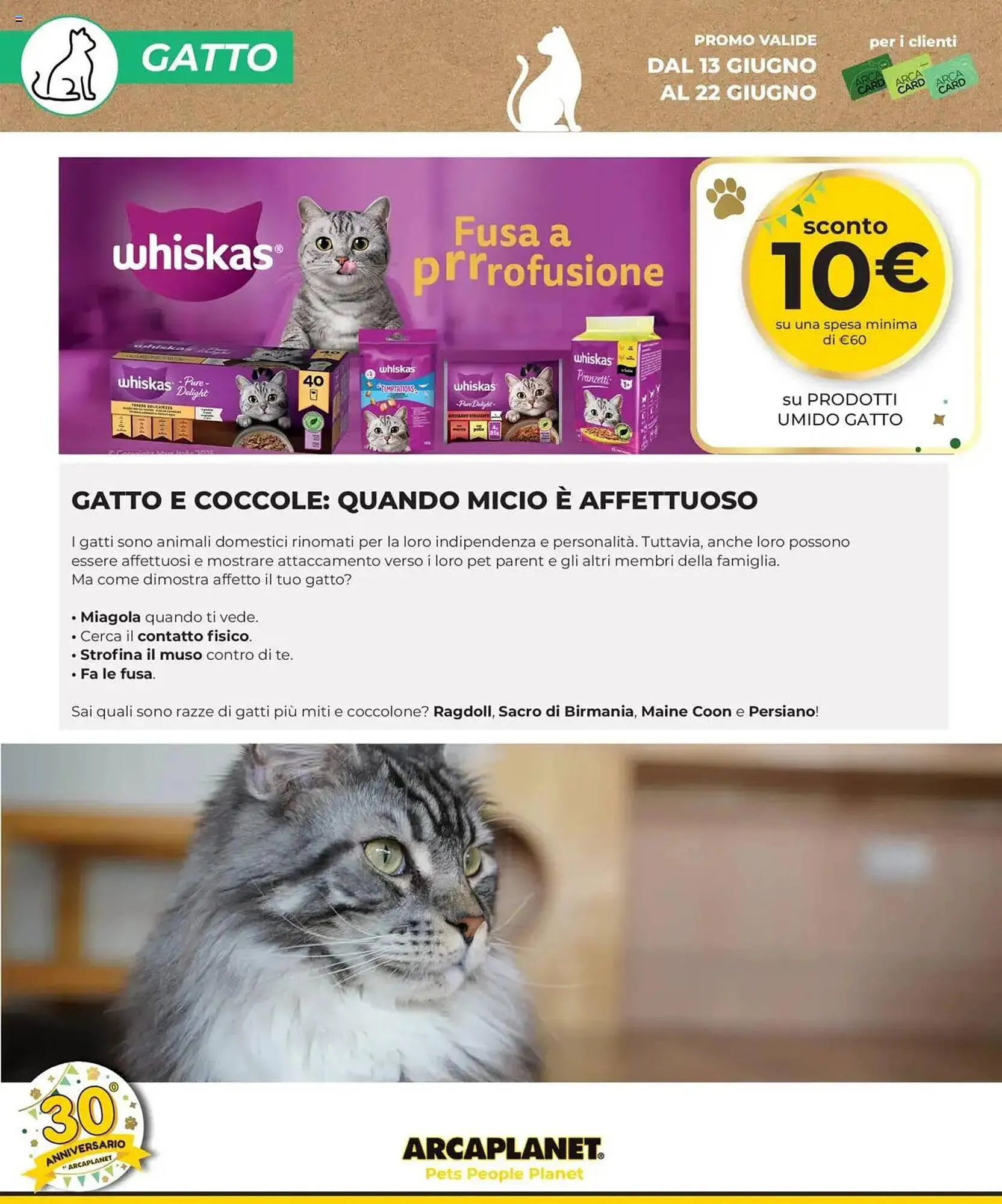 Volantino Arcaplanet da 13 giugno a 22 giugno di 2025 - Pagina del volantino 18