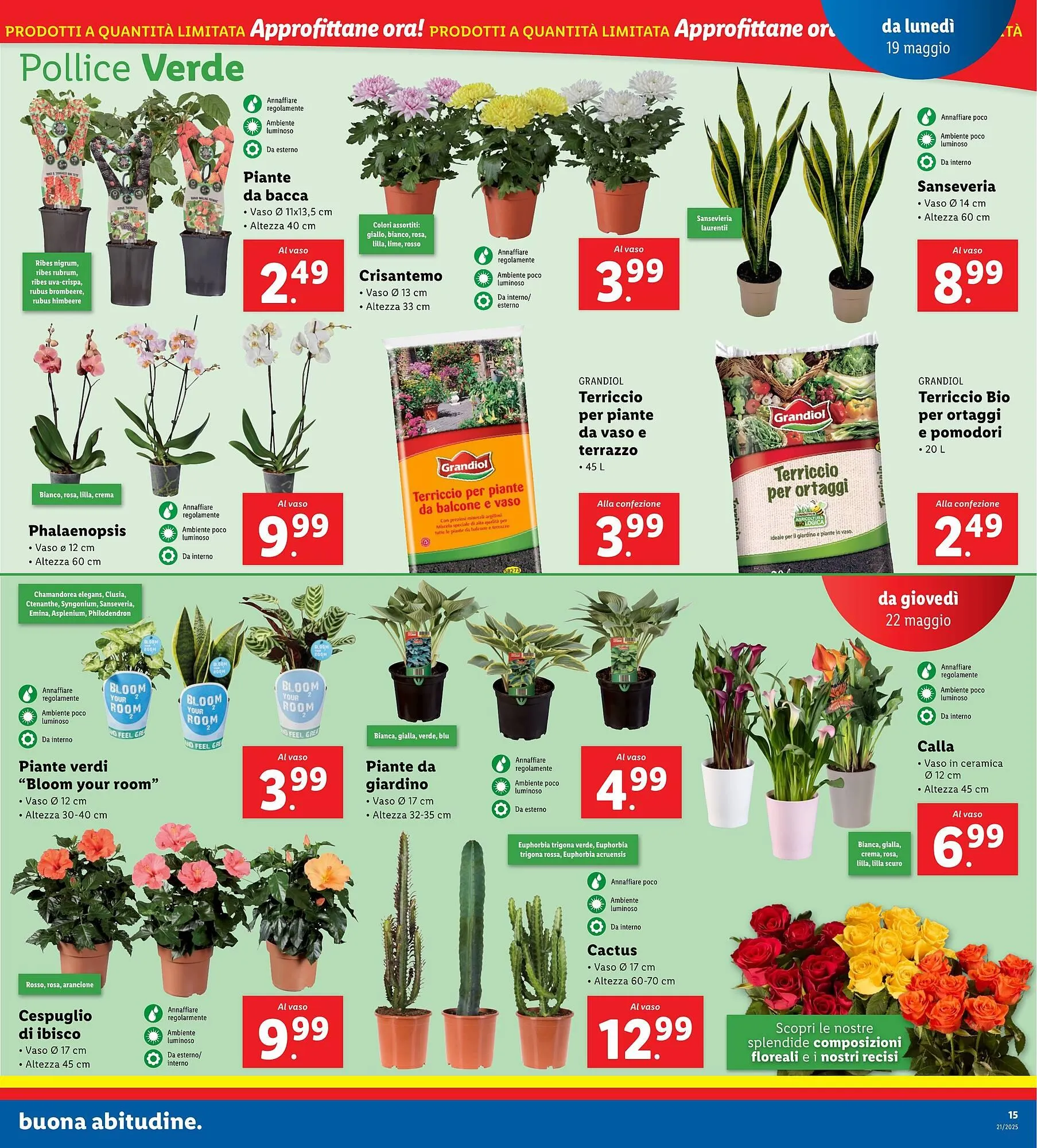 Volantino Lidl da 19 maggio a 25 maggio di 2025 - Pagina del volantino 19