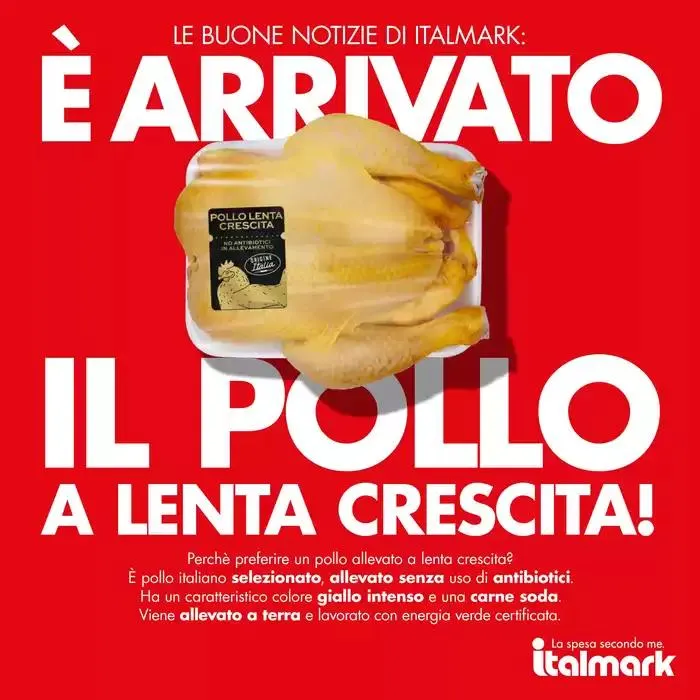 Le mie grandi marche da 5 marzo a 18 marzo di 2025 - Pagina del volantino 15