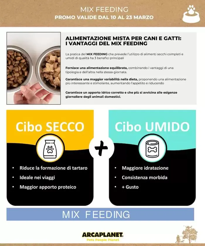 3x2 da 10 marzo a 23 marzo di 2025 - Pagina del volantino 13