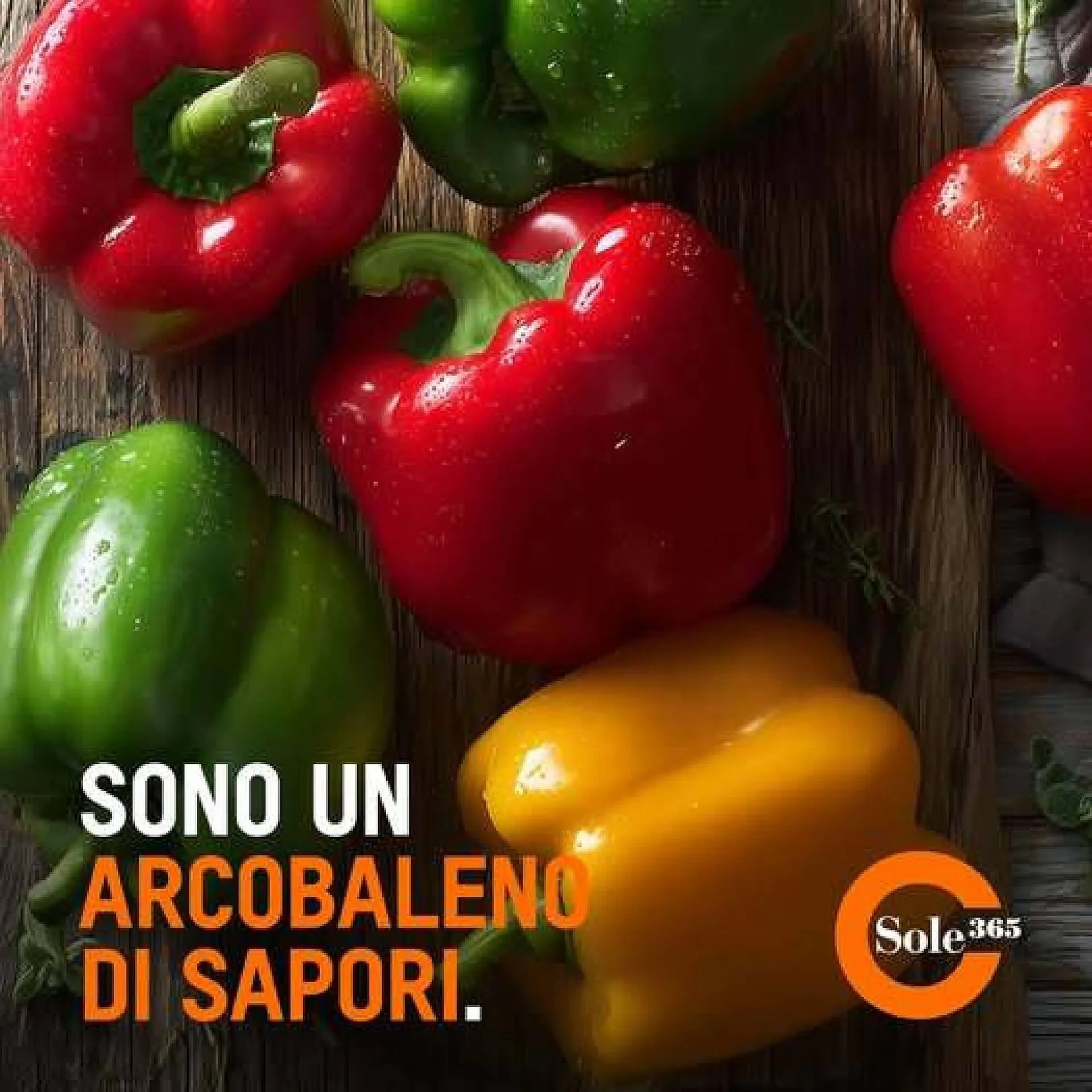 Volantino Sole 365 - 1