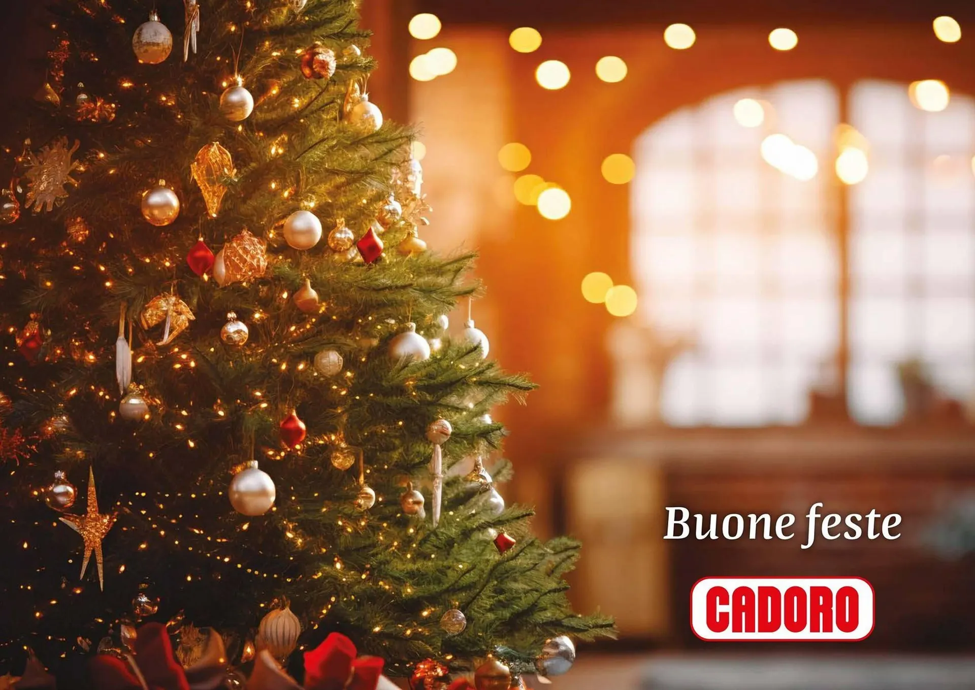 Volantino Cadoro da 1 dicembre a 31 gennaio di 2026 - Pagina del volantino 40