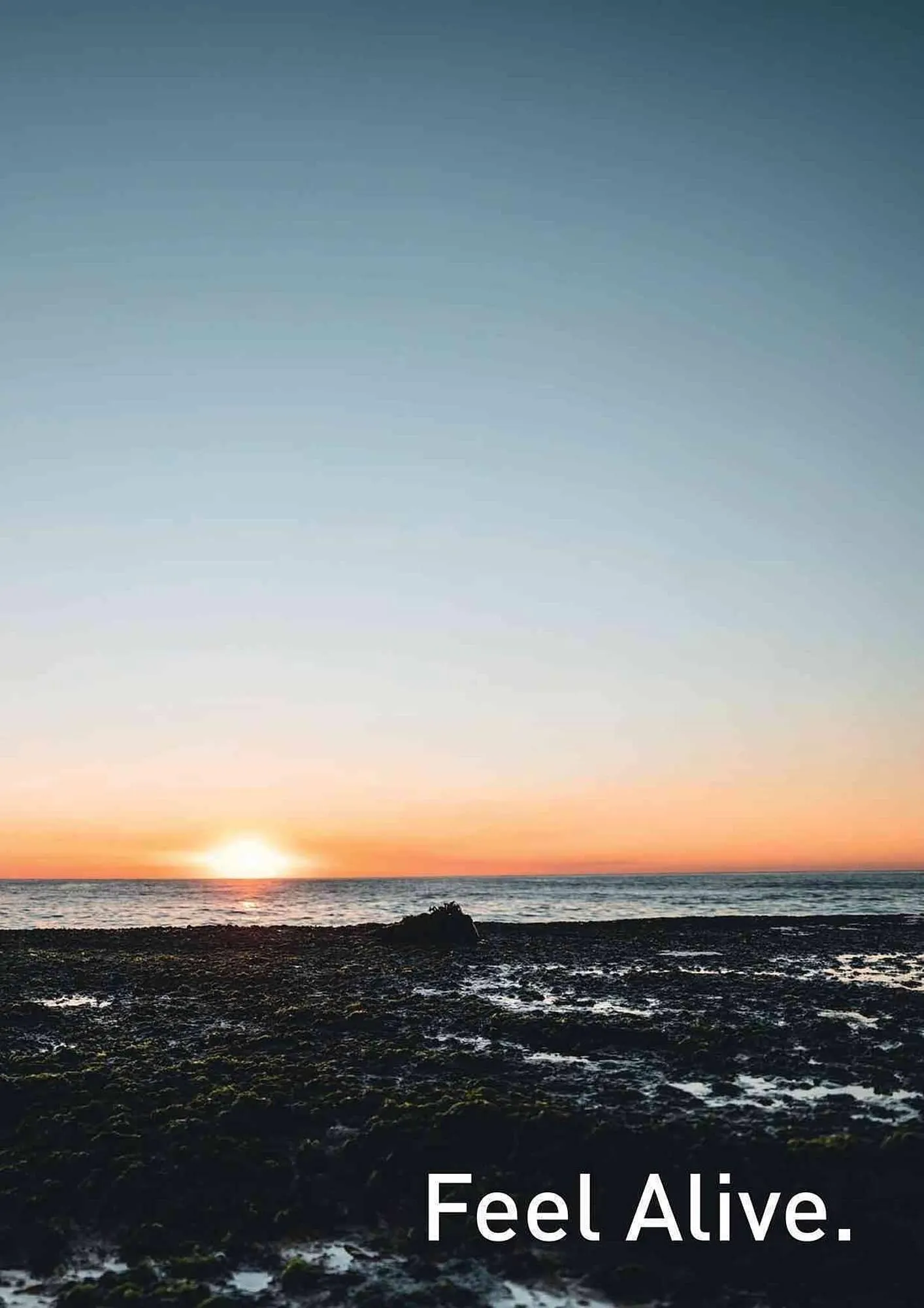 Volantino Daiwa da 4 febbraio a 31 dicembre di 2025 - Pagina del volantino 109