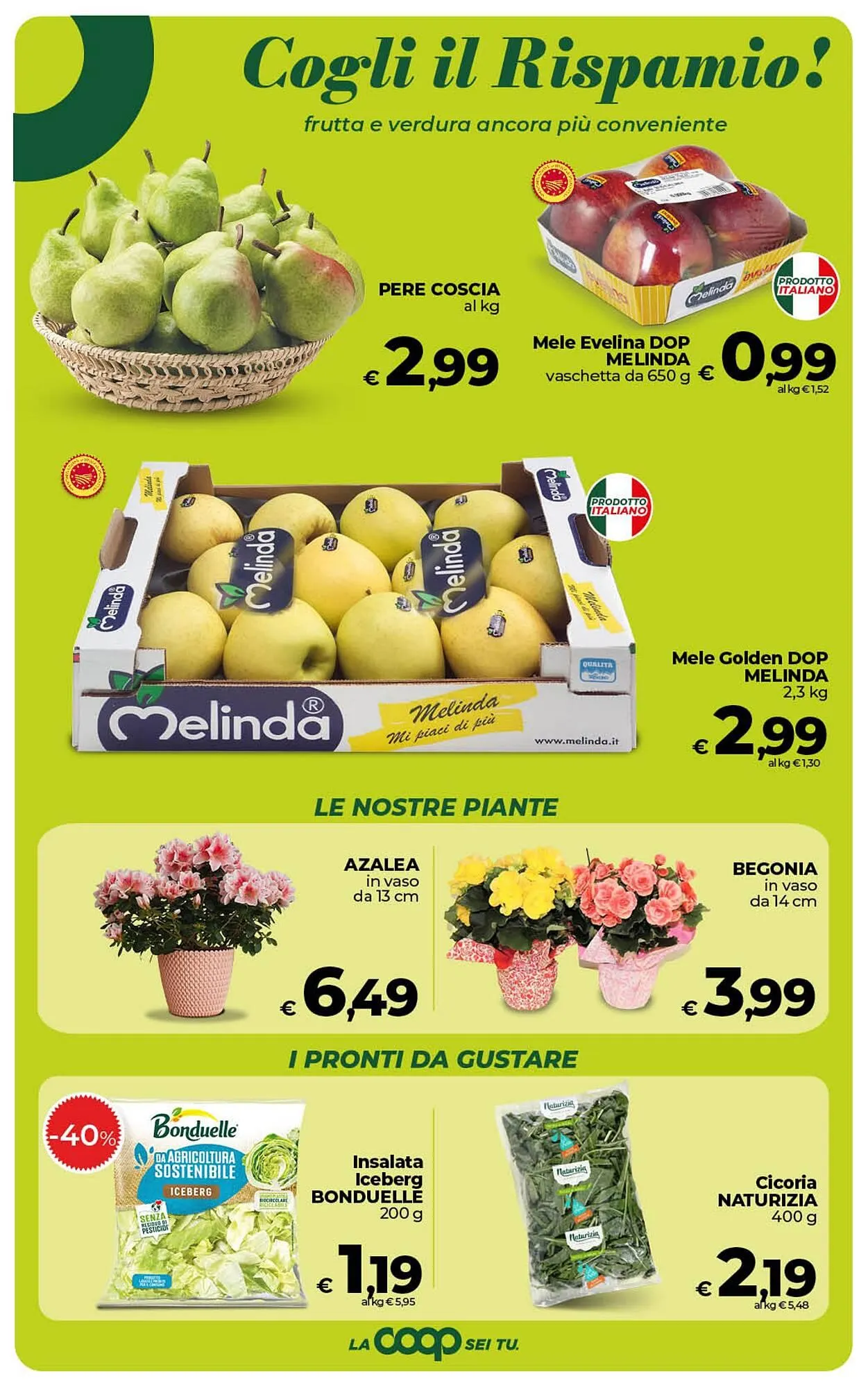 Volantino Coop Radenza da 7 maggio a 18 maggio di 2026 - Pagina del volantino 24