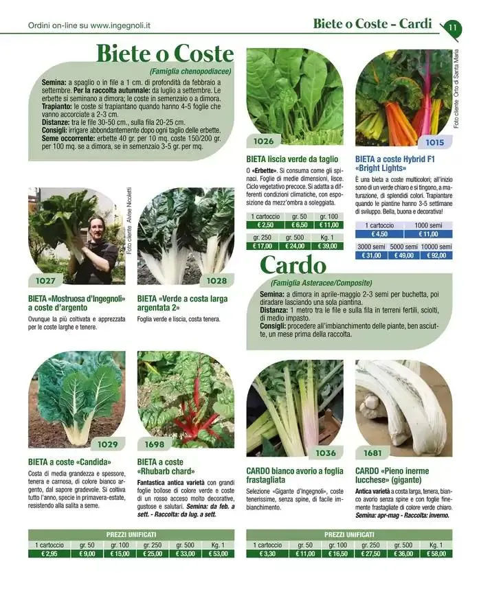 Catalogo guida 2025 da 20 gennaio a 31 dicembre di 2025 - Pagina del volantino 13