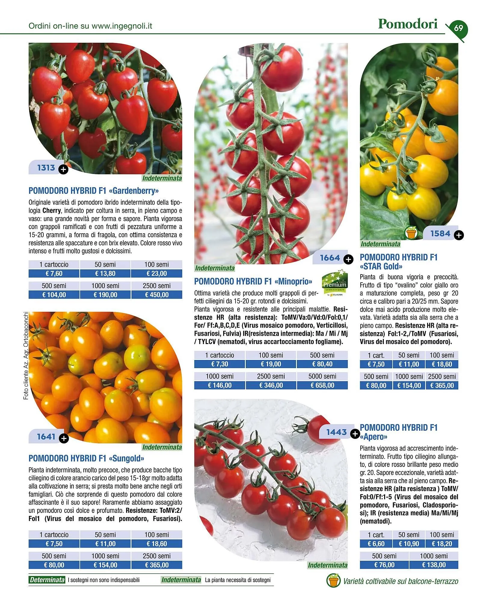 Volantino Ingegnoli da 4 novembre a 31 dicembre di 2025 - Pagina del volantino 71