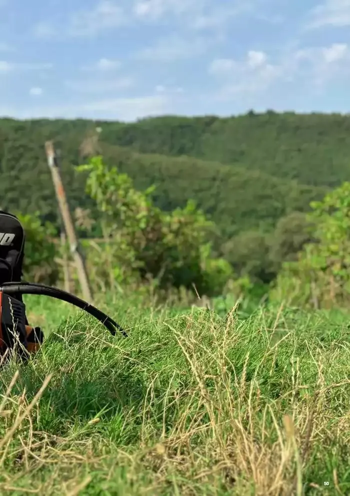 Catalogo master prodotti 2025 da 17 febbraio a 31 dicembre di 2025 - Pagina del volantino 51