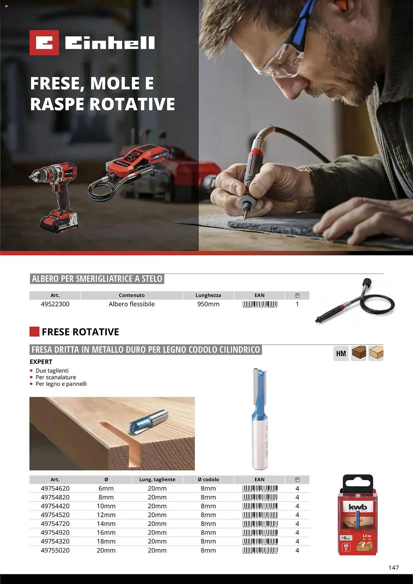 Volantino Einhell da 17 marzo a 31 dicembre di 2026 - Pagina del volantino 149