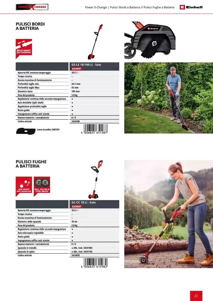 Giardinaggio 2025 da 11 febbraio a 31 dicembre di 2025 - Pagina del volantino 41