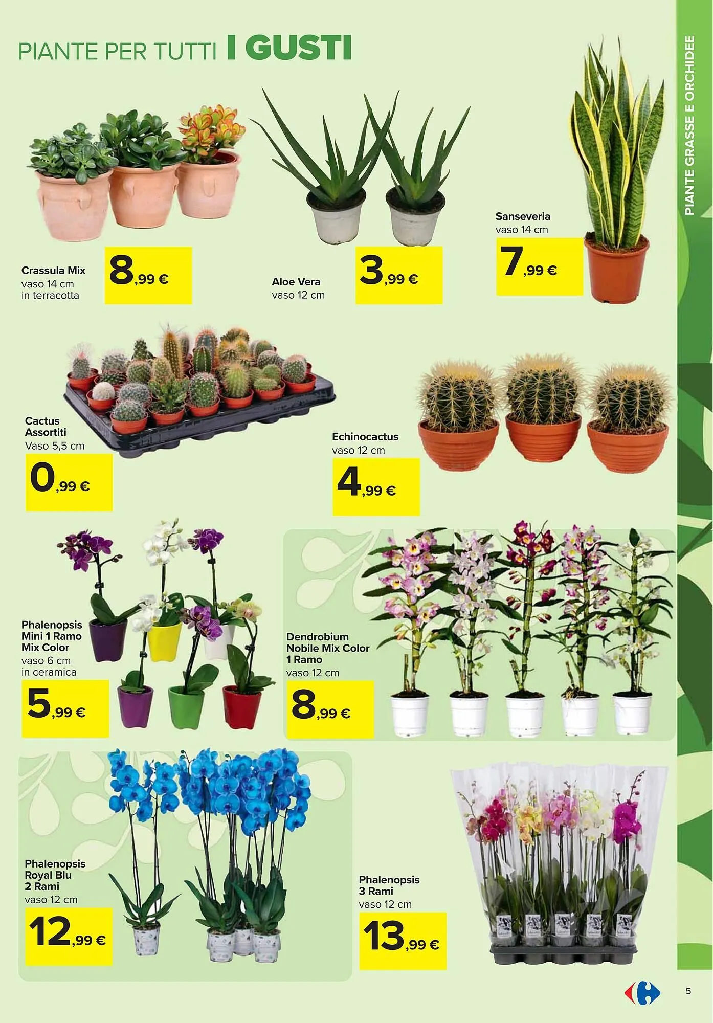 Volantino Carrefour Iper da 13 febbraio a 1 aprile di 2025 - Pagina del volantino 5