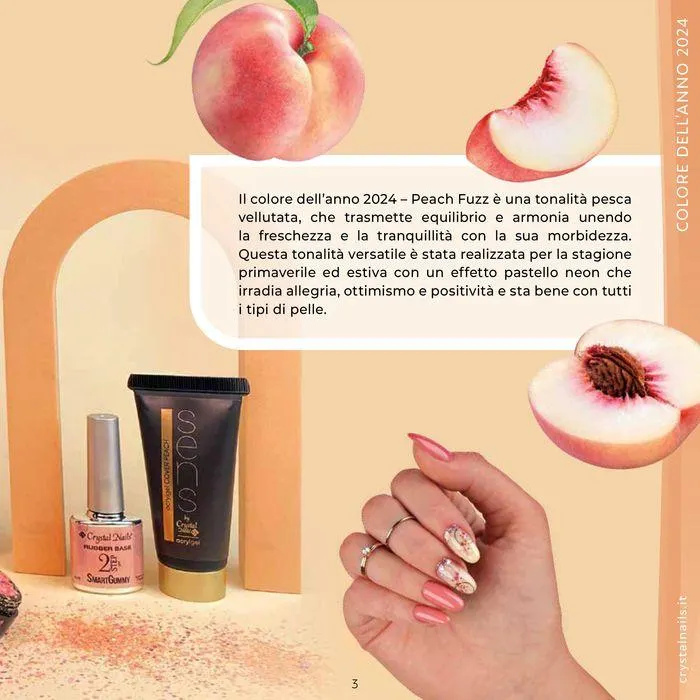 Catalogo 2024 da 3 luglio a 15 gennaio di 2025 - Pagina del volantino 3