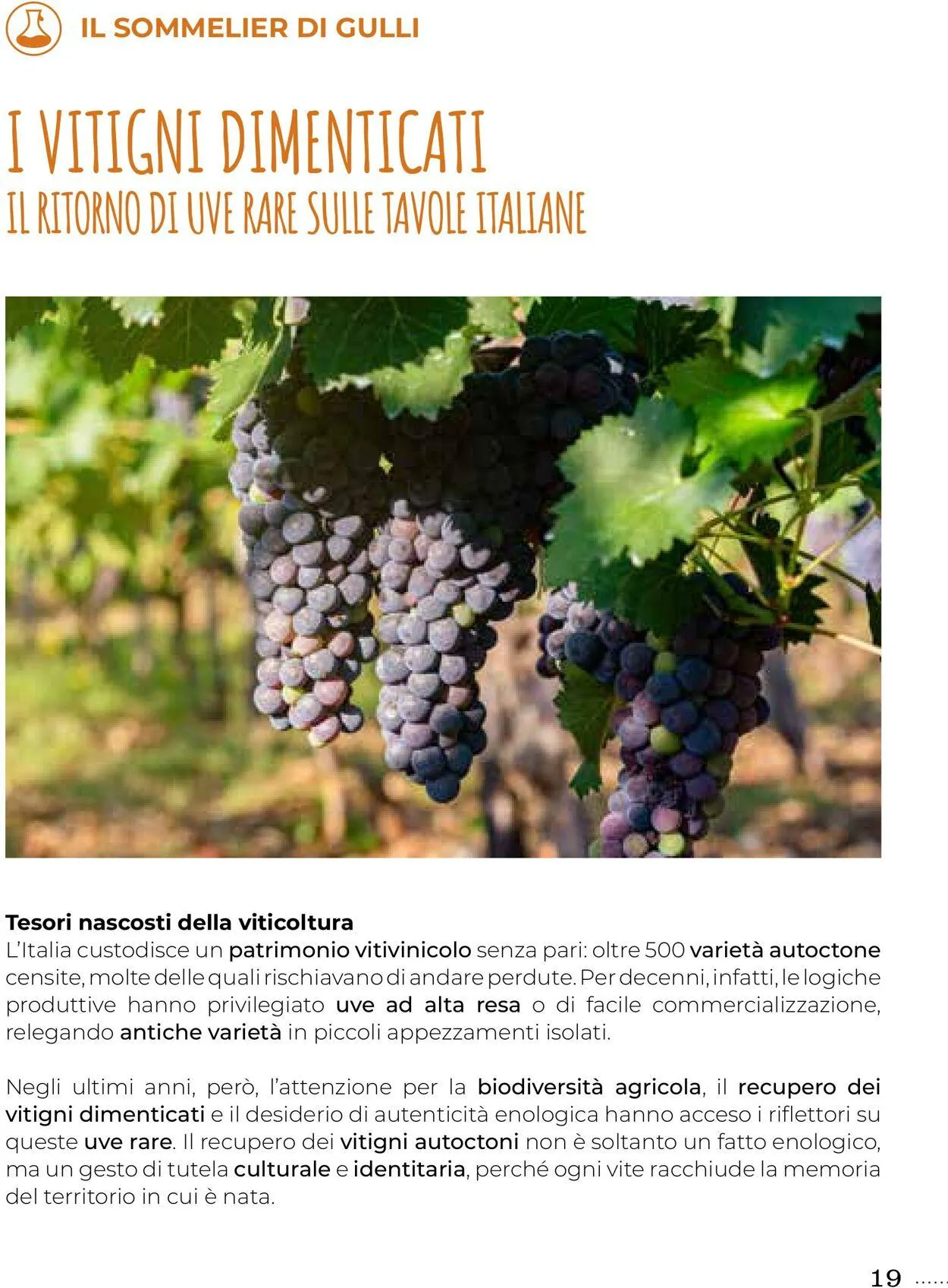 Gulliver Volantino attuale da 1 ottobre a 31 ottobre di 2025 - Pagina del volantino 19