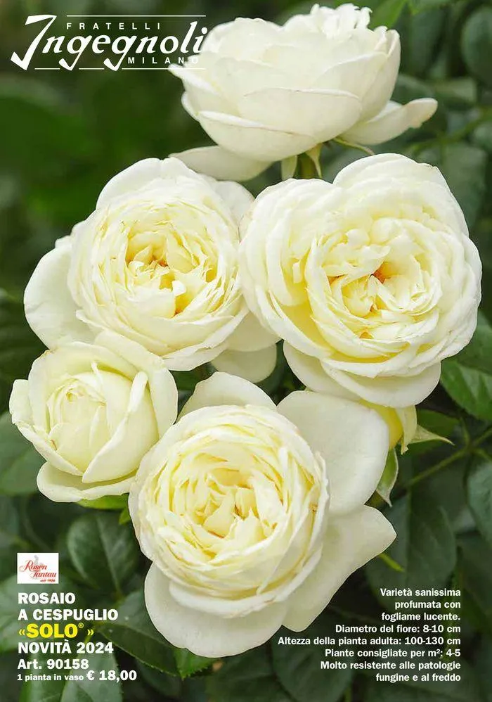 Catalogo guida 2024 da 25 marzo a 31 dicembre di 2024 - Pagina del volantino 220