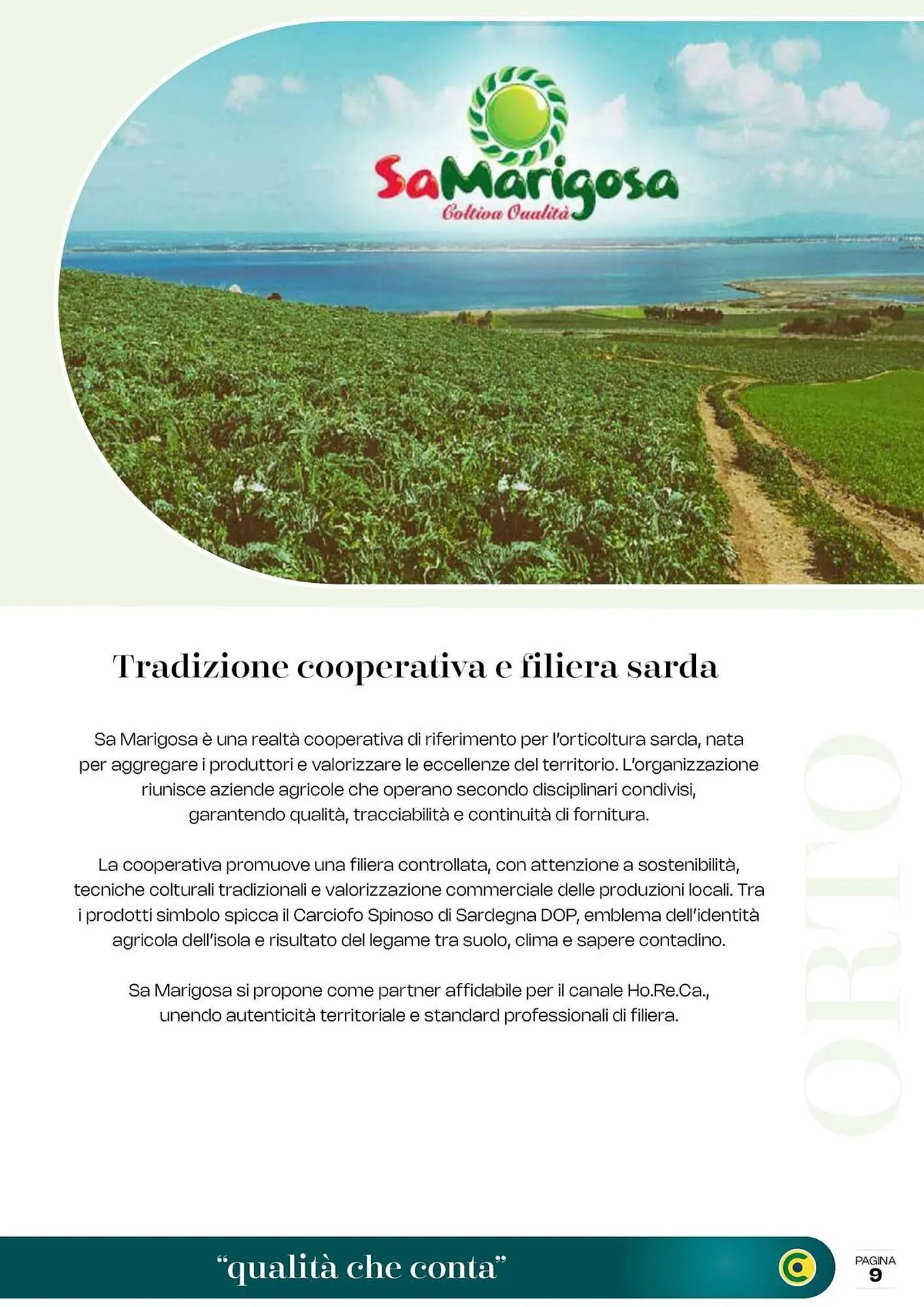 Volantino Centro Cash da 28 aprile a 31 dicembre di 2026 - Pagina del volantino 9