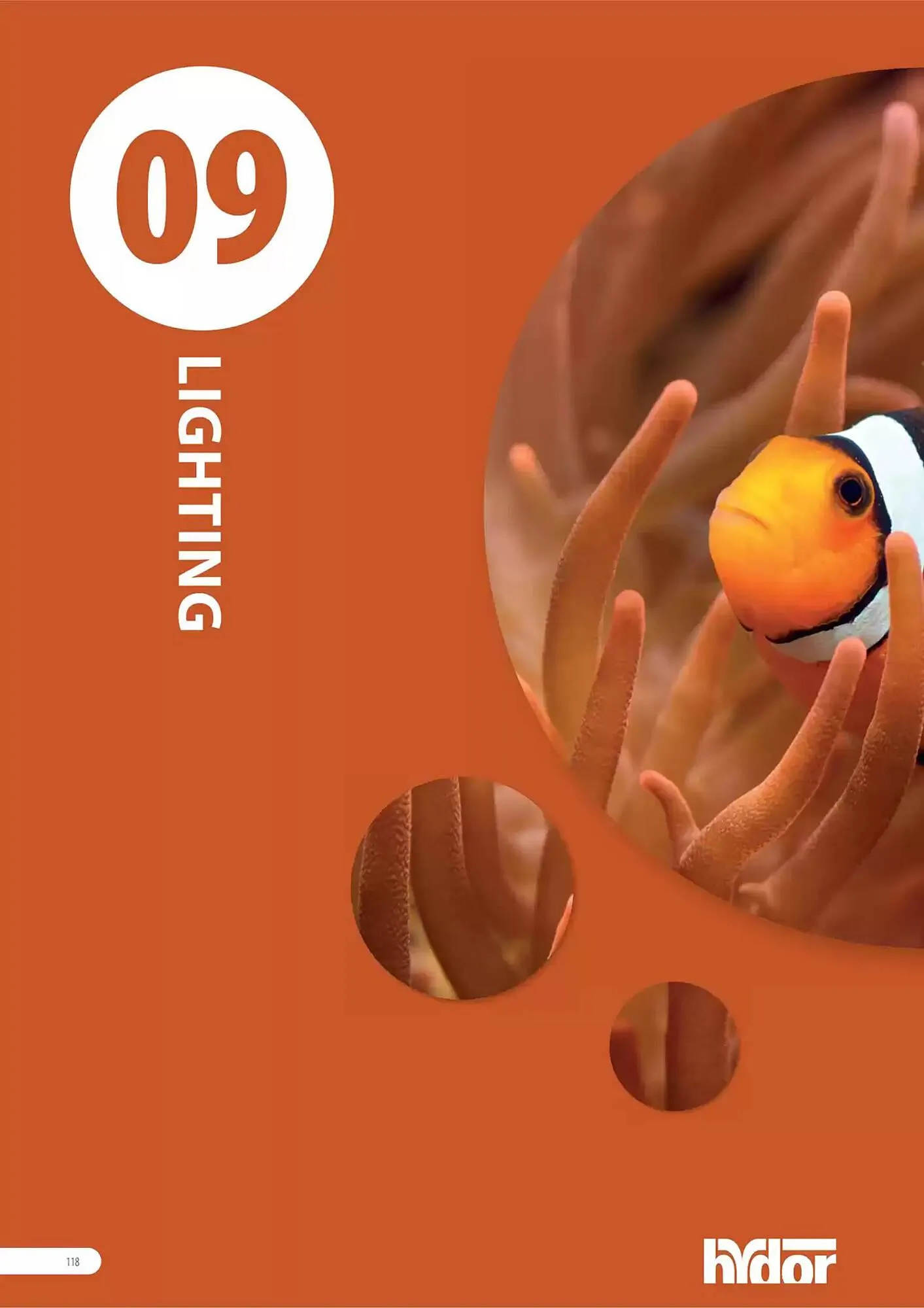 Volantino Ferplast da 13 dicembre a 31 dicembre di 2026 - Pagina del volantino 119