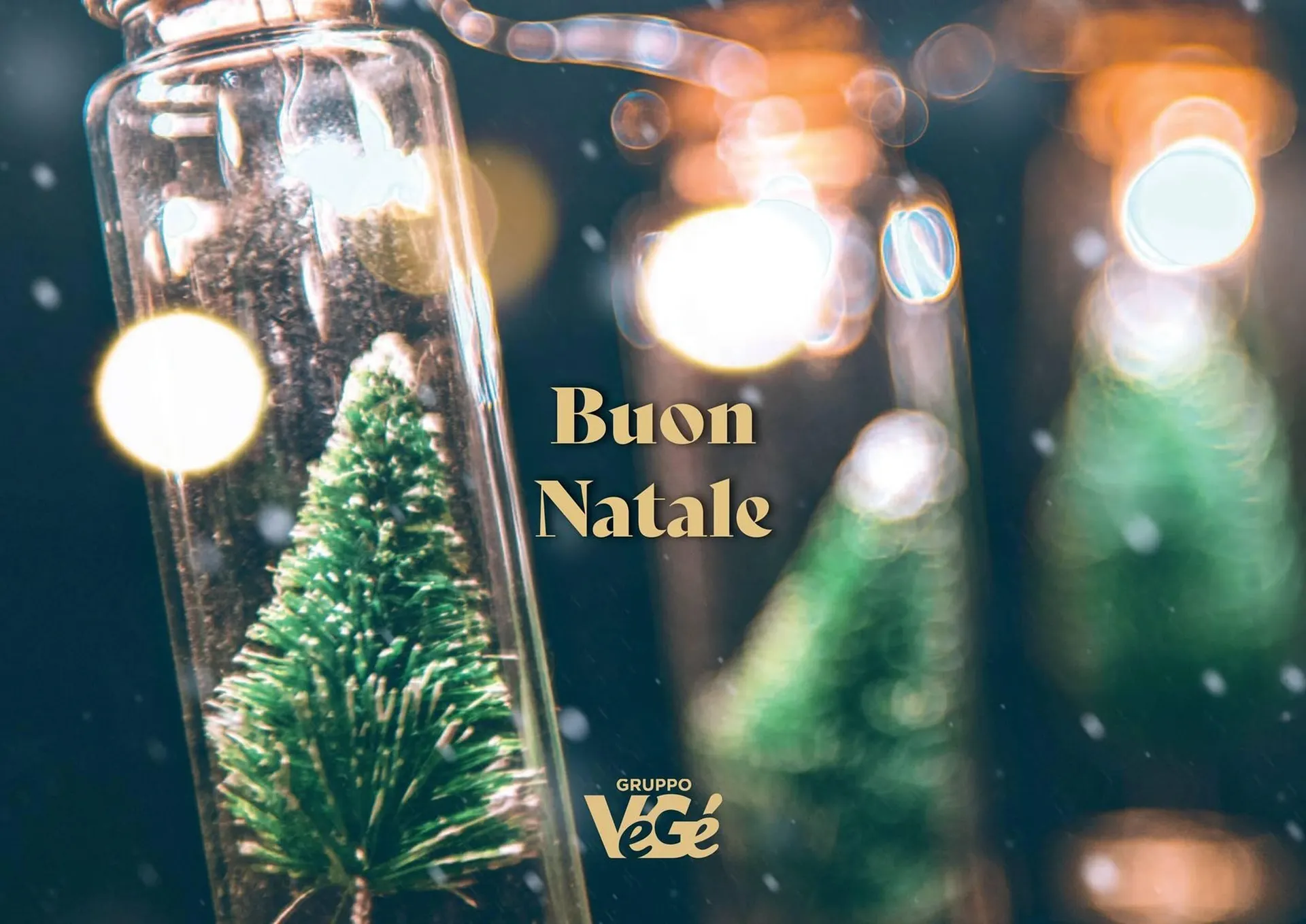 Volantino Caramico da 17 dicembre a 31 dicembre di 2025 - Pagina del volantino 56