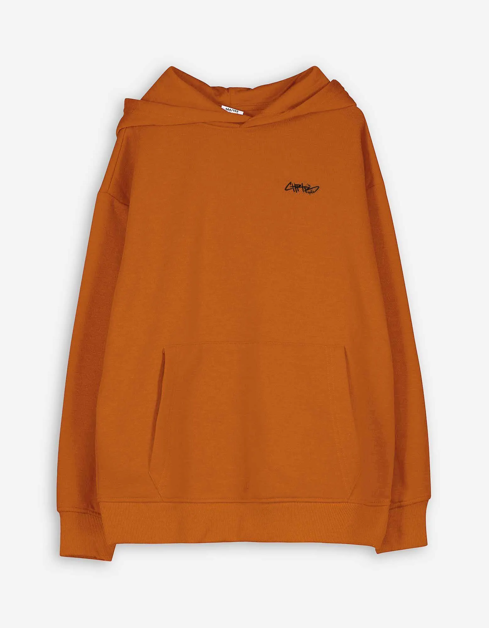 Felpa con cappuccio - Statement - marrone