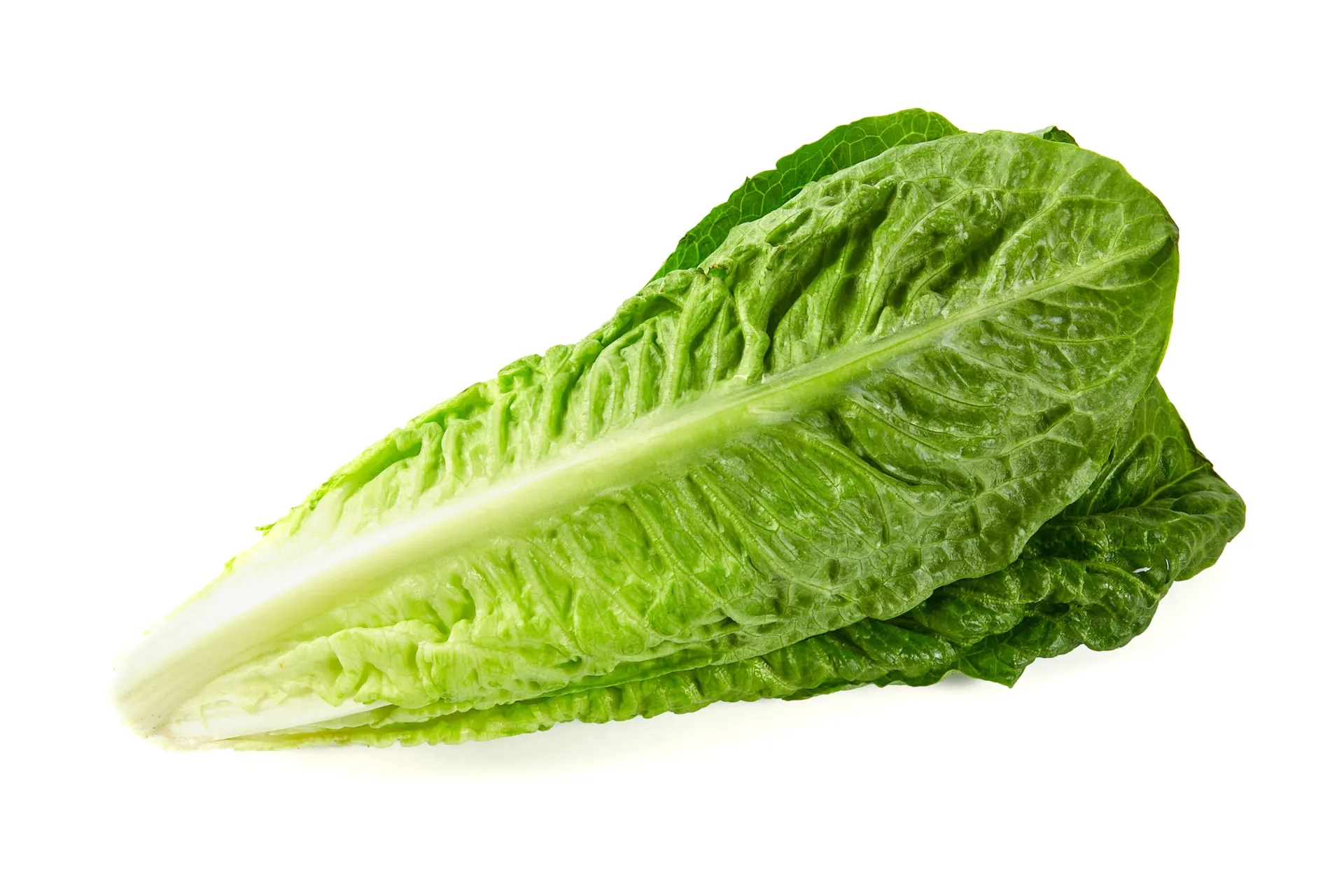 1 x cespo Insalata Lattuga Romana sfusa cat. I origine Italia