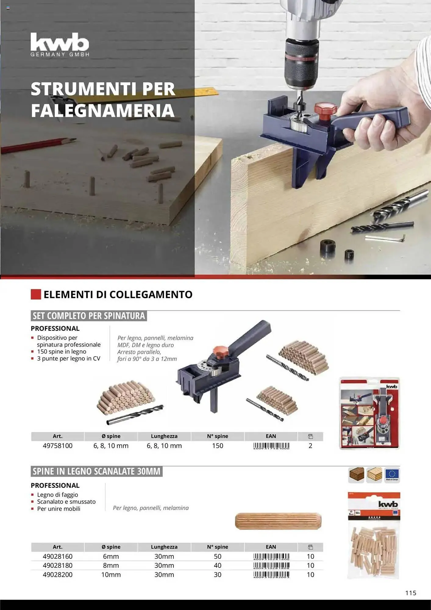 Volantino Einhell da 10 ottobre a 31 dicembre di 2025 - Pagina del volantino 117