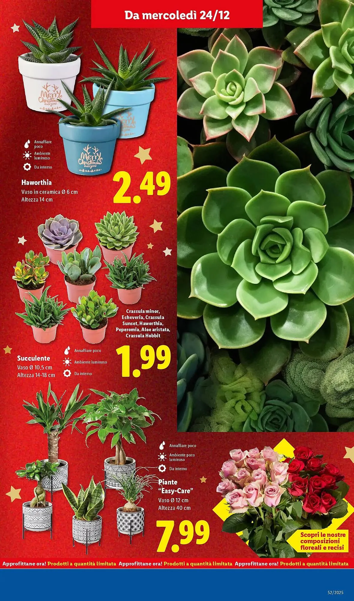 Volantino Lidl da 21 dicembre a 28 dicembre di 2025 - Pagina del volantino 41