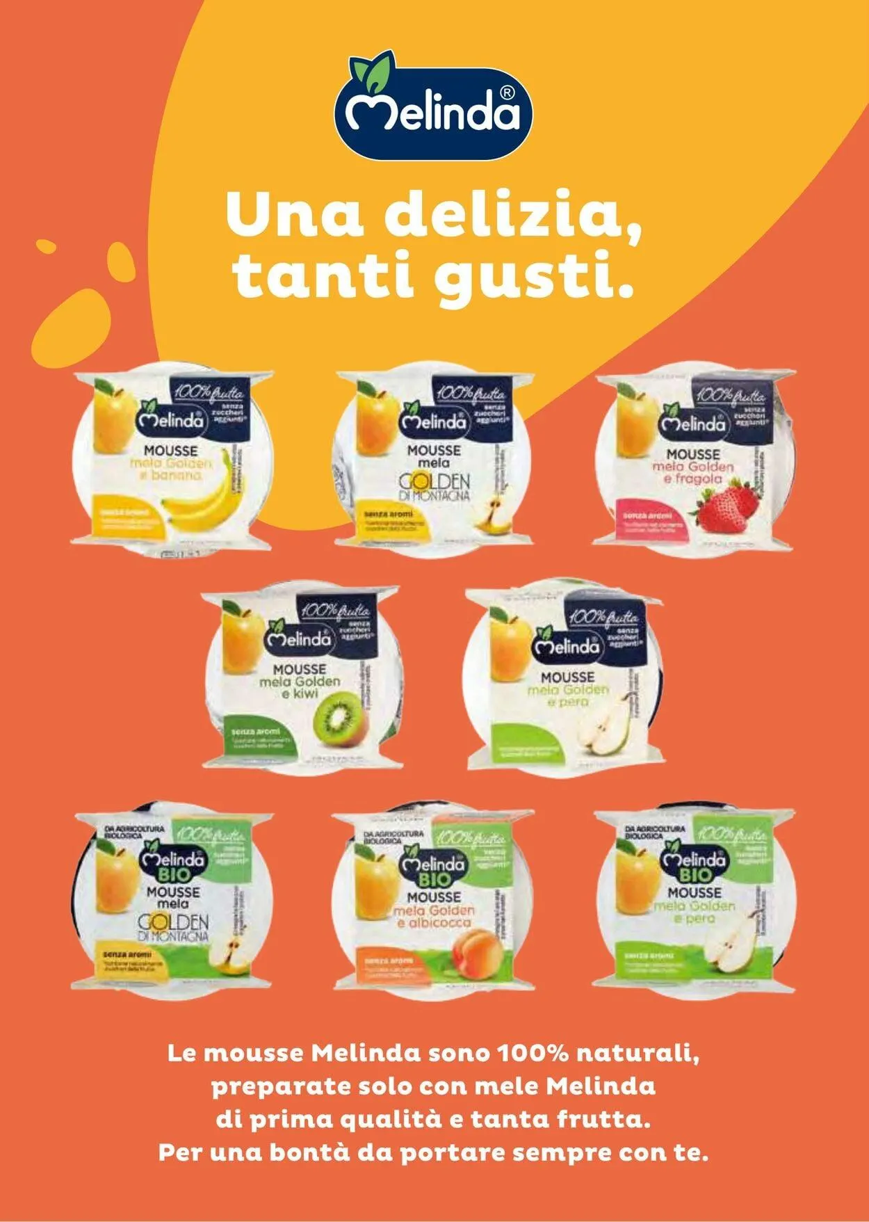 Gulliver Volantino attuale da 1 dicembre a 31 dicembre di 2025 - Pagina del volantino 2