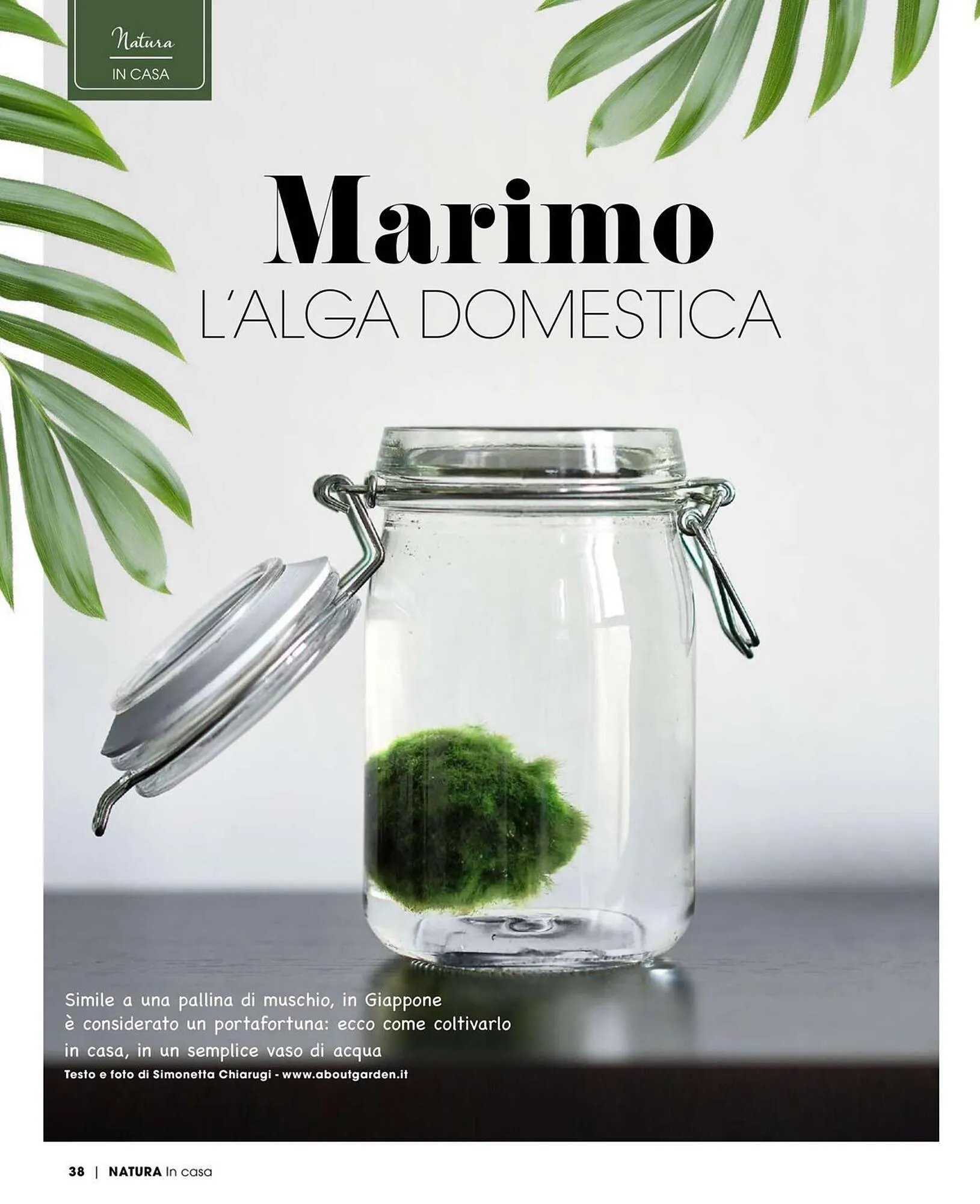 Volantino A&O da 1 gennaio a 28 febbraio di 2026 - Pagina del volantino 39