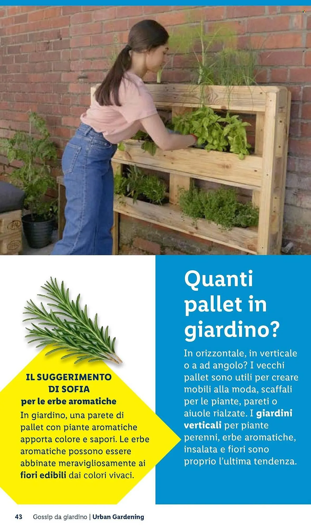 Volantino Lidl da 22 aprile a 30 aprile di 2026 - Pagina del volantino 43