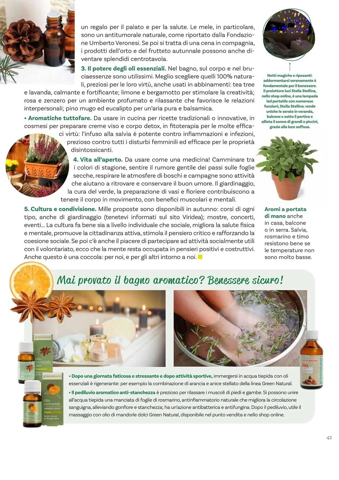 Volantino Viridea da 17 ottobre a 22 dicembre di 2025 - Pagina del volantino 43