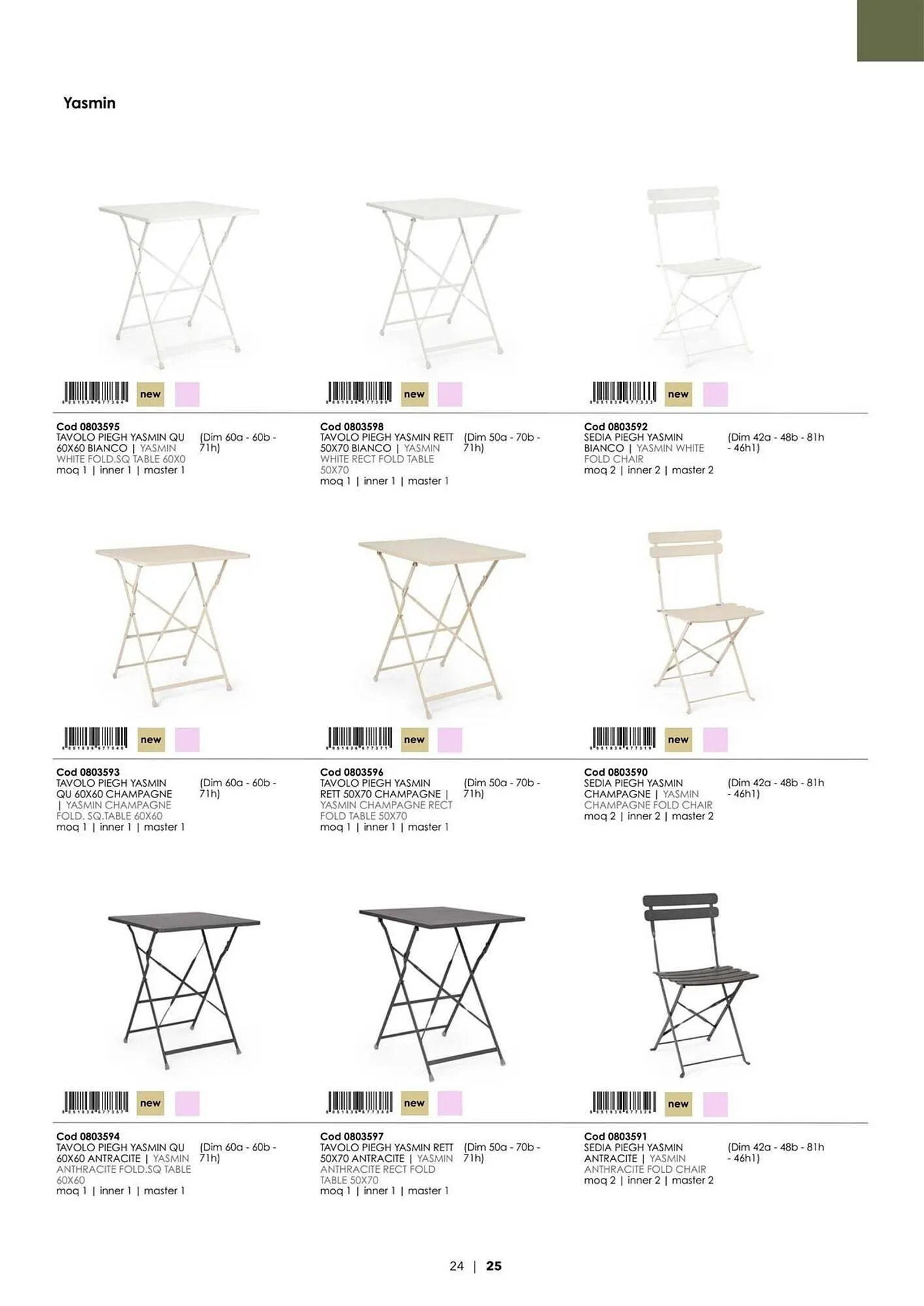 Volantino Bizzotto da 21 gennaio a 31 dicembre di 2025 - Pagina del volantino 26