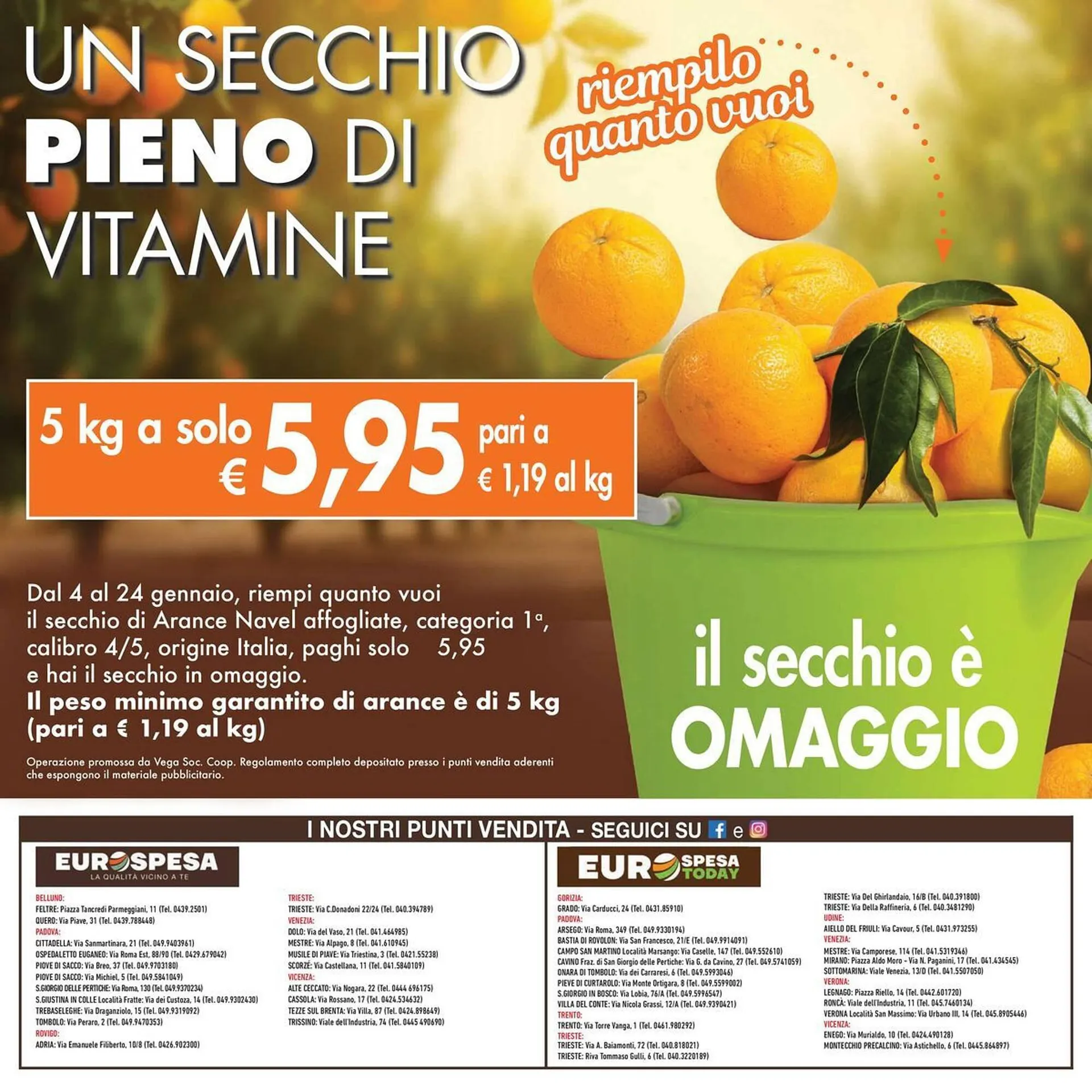 Volantino Eurospesa da 4 gennaio a 24 gennaio di 2024 - Pagina del volantino 12