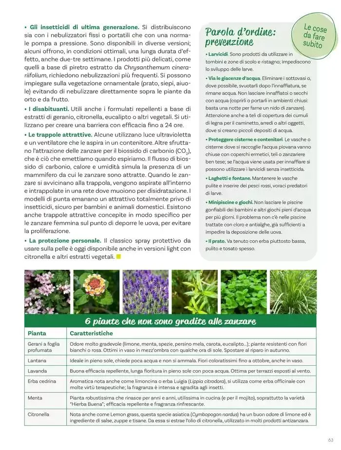 Idee per la vita all' aperto da 18 aprile a 18 maggio di 2025 - Pagina del volantino 63