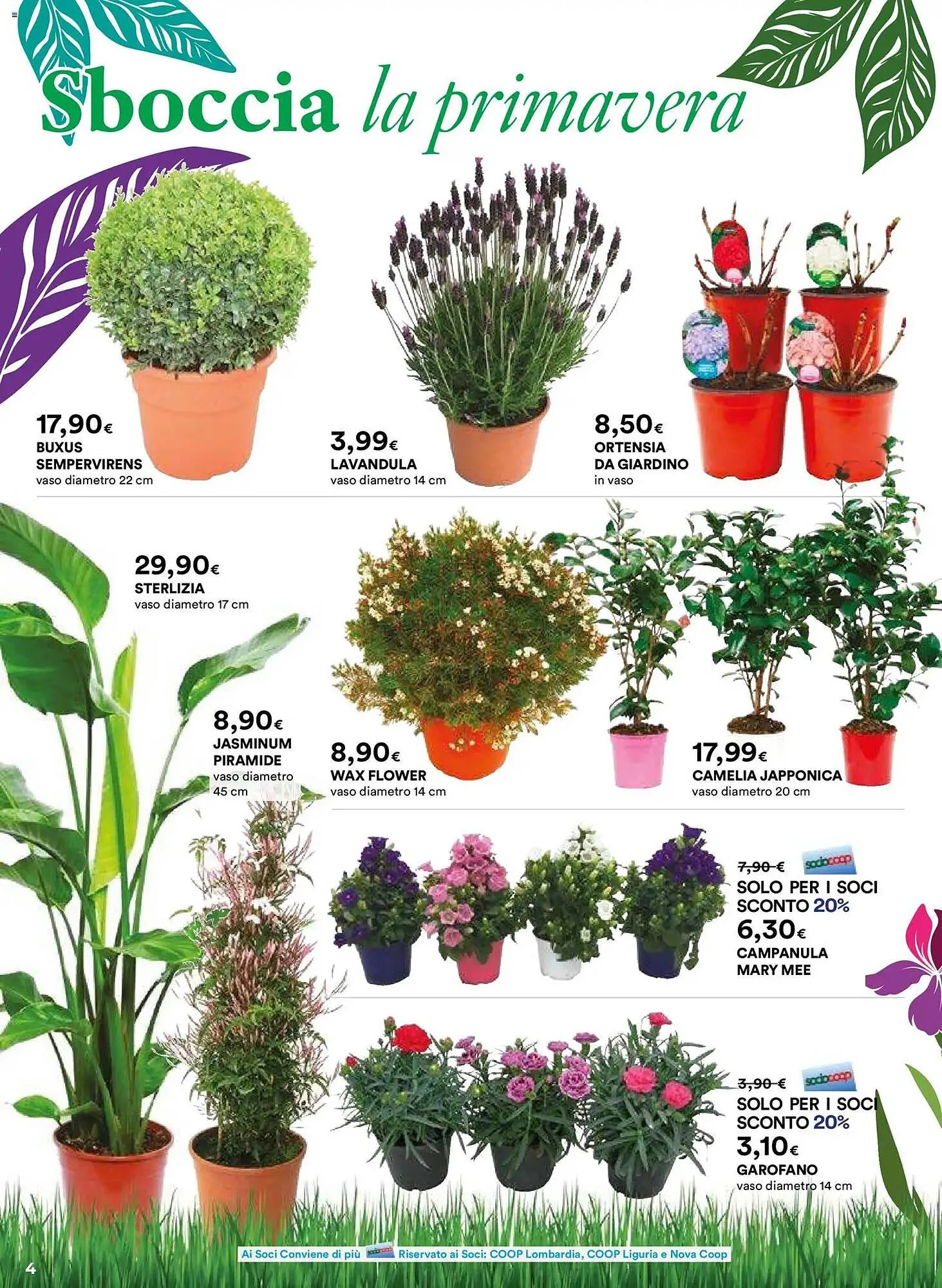 Volantino Ipercoop da 26 febbraio a 6 aprile di 2026 - Pagina del volantino 4