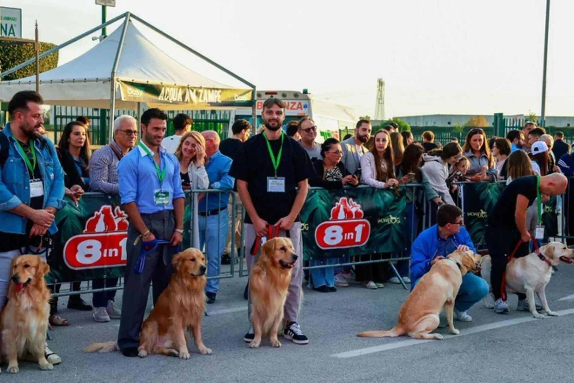 Volantino Zoomiguana da 9 novembre a 23 novembre di 2025 - Pagina del volantino 5