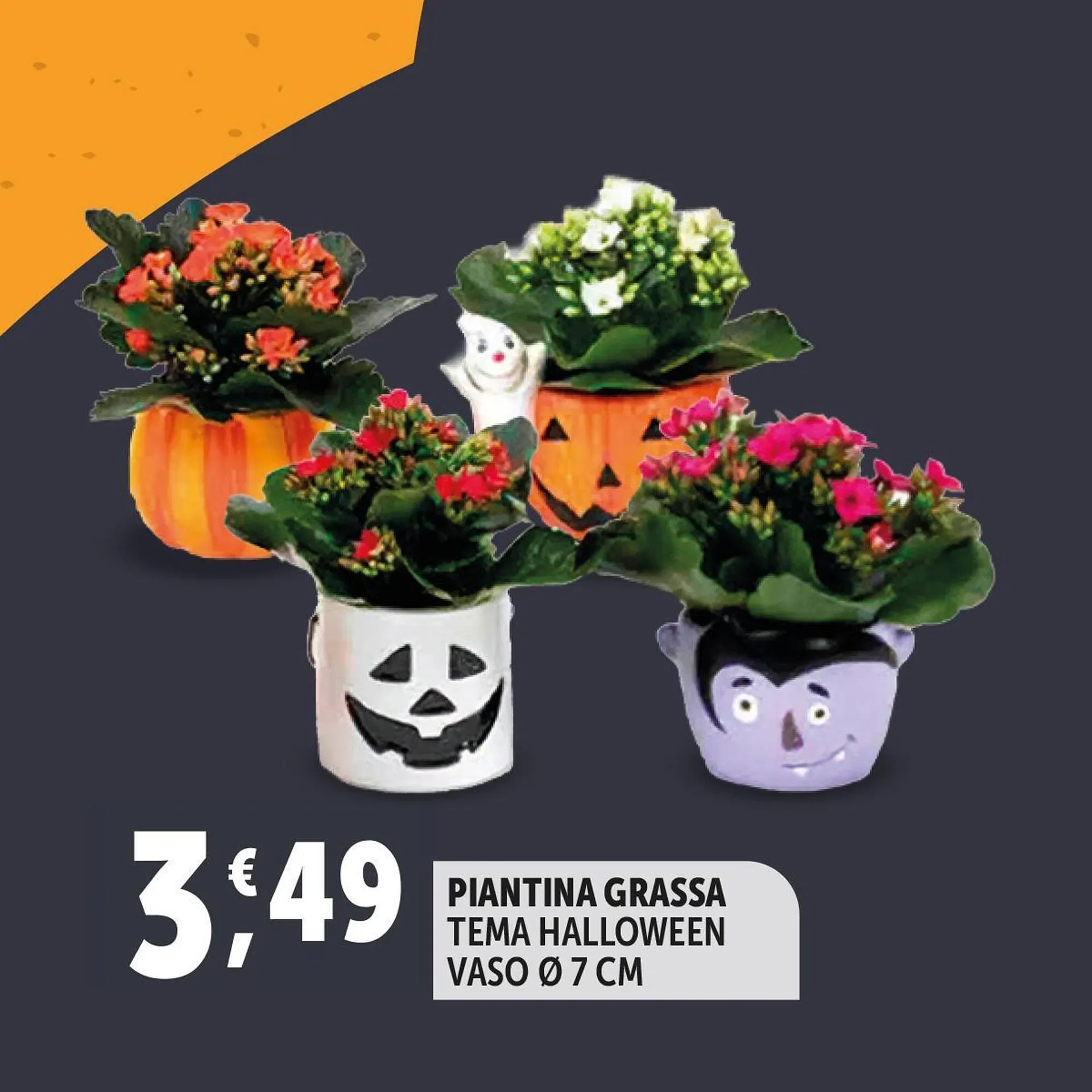 Volantino Deco Supermercati da 26 ottobre a 31 ottobre di 2025 - Pagina del volantino 4