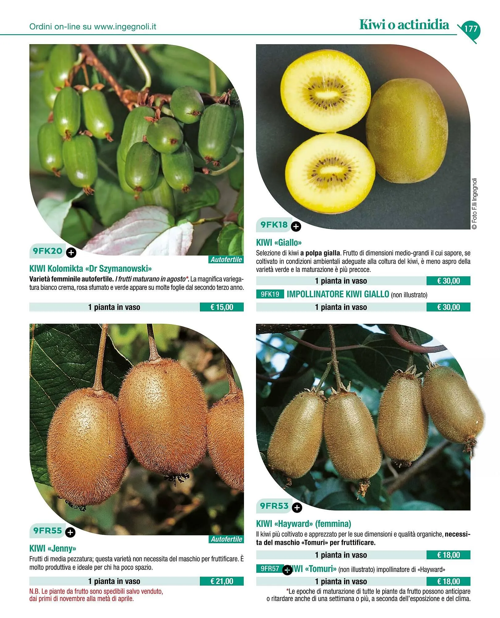 Volantino Ingegnoli da 4 novembre a 31 dicembre di 2025 - Pagina del volantino 179