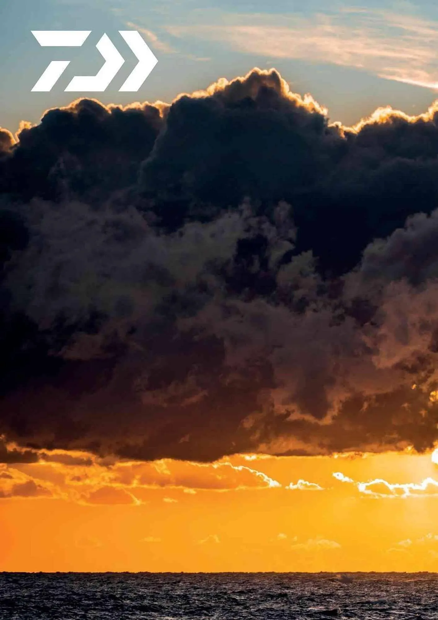 Volantino Daiwa da 4 febbraio a 31 dicembre di 2025 - Pagina del volantino 80