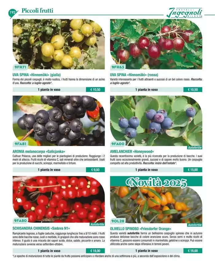 Catalogo guida 2025 da 20 gennaio a 31 dicembre di 2025 - Pagina del volantino 194