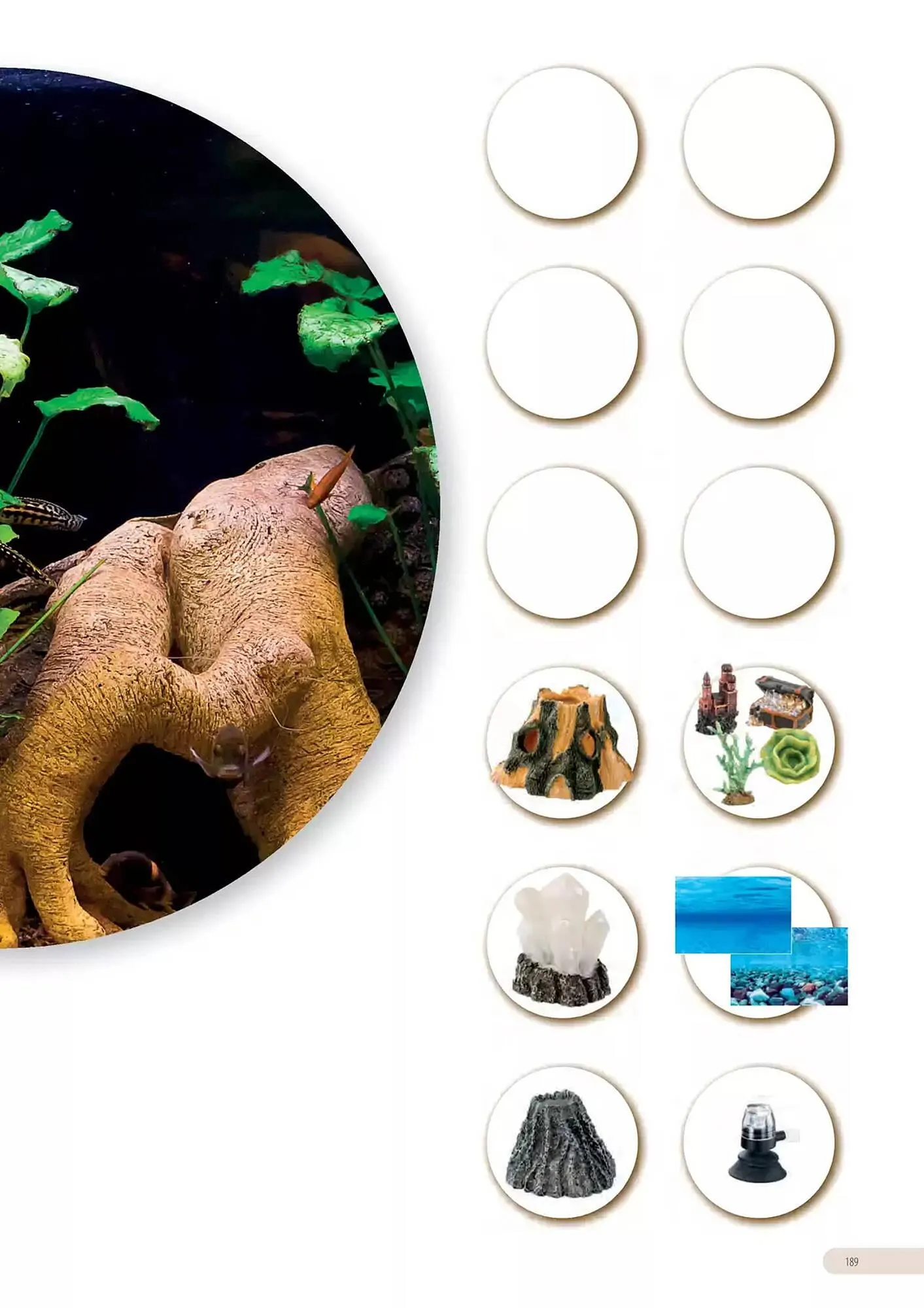 Volantino Ferplast da 13 dicembre a 31 dicembre di 2026 - Pagina del volantino 190