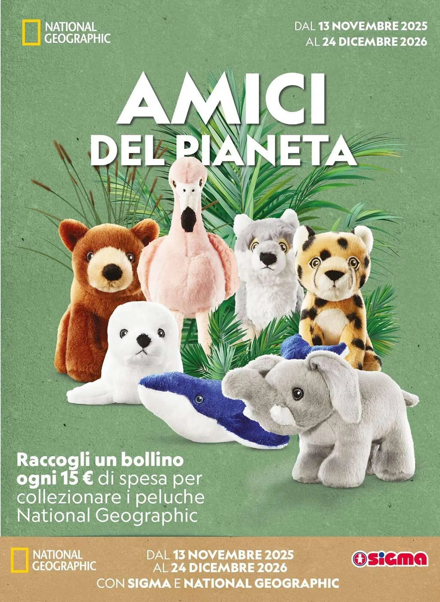 Volantino Ok Sigma da 3 dicembre a 16 dicembre di 2025 - Pagina del volantino 15