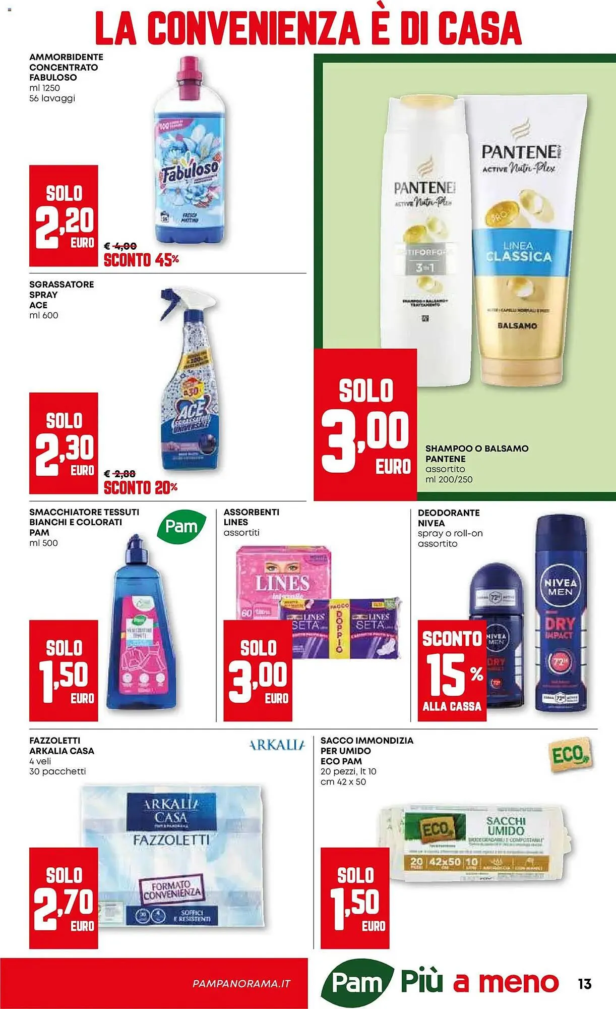 Volantino Pam da 26 febbraio a 11 marzo di 2026 - Pagina del volantino 13